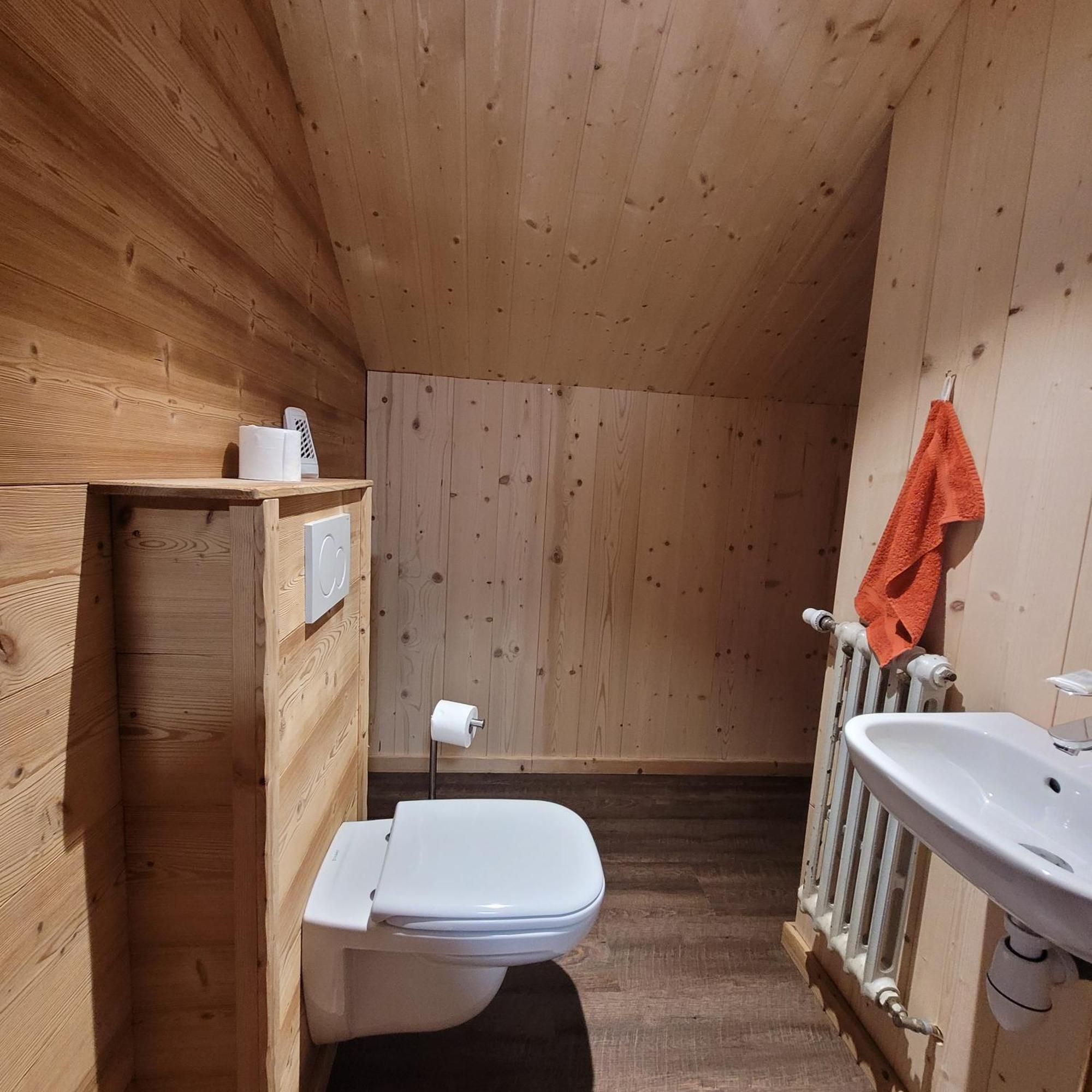 Chalet Des Cyclistes La Bresse Ngoại thất bức ảnh