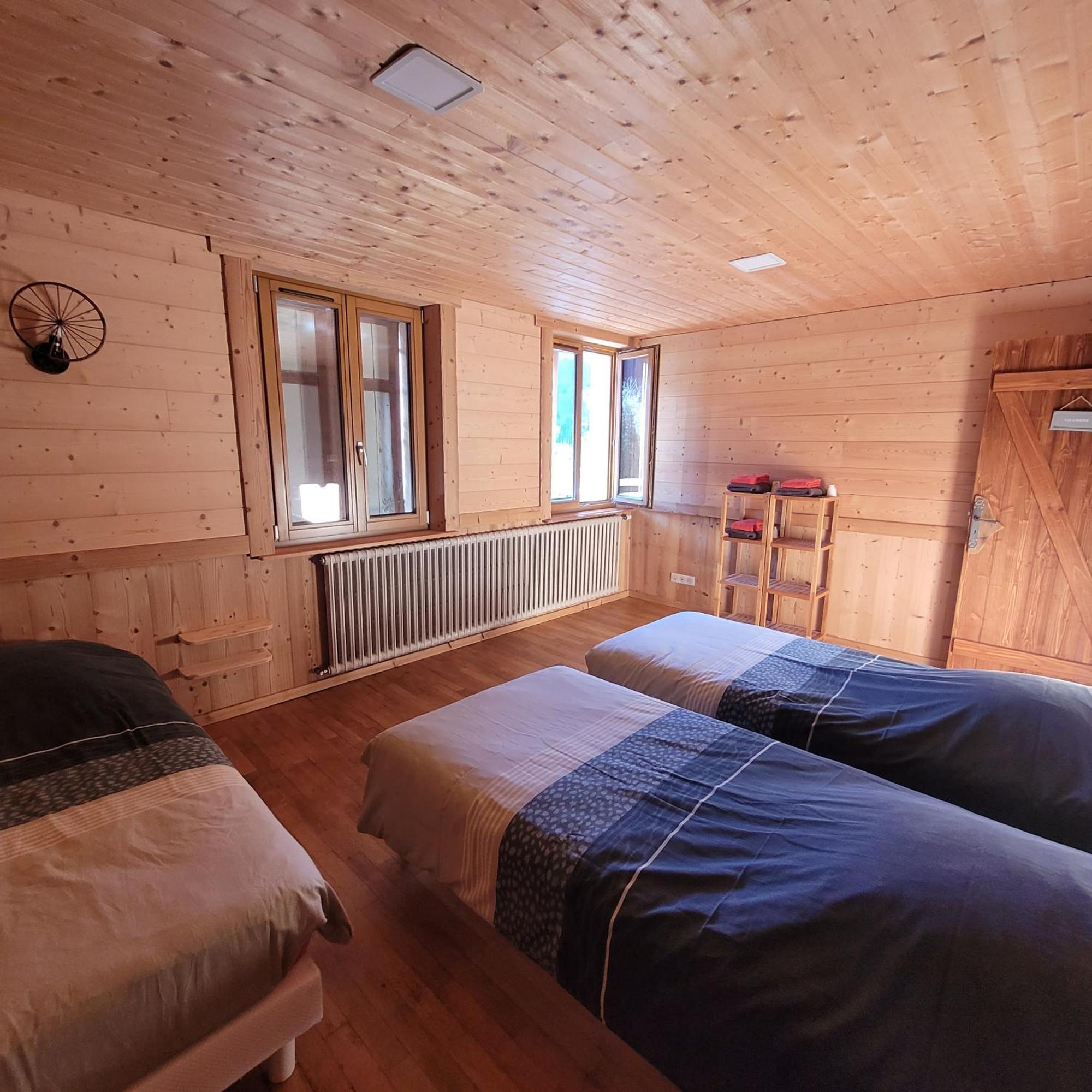 Chalet Des Cyclistes La Bresse Ngoại thất bức ảnh