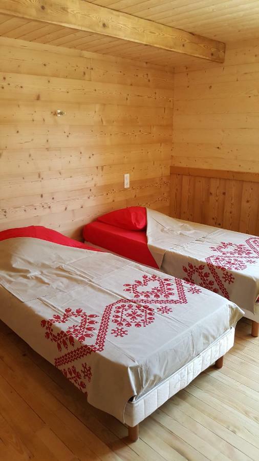 Chalet Des Cyclistes La Bresse Ngoại thất bức ảnh